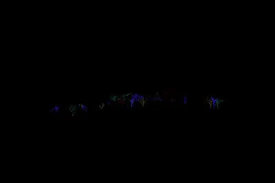 DSC_6719 (Large).JPG